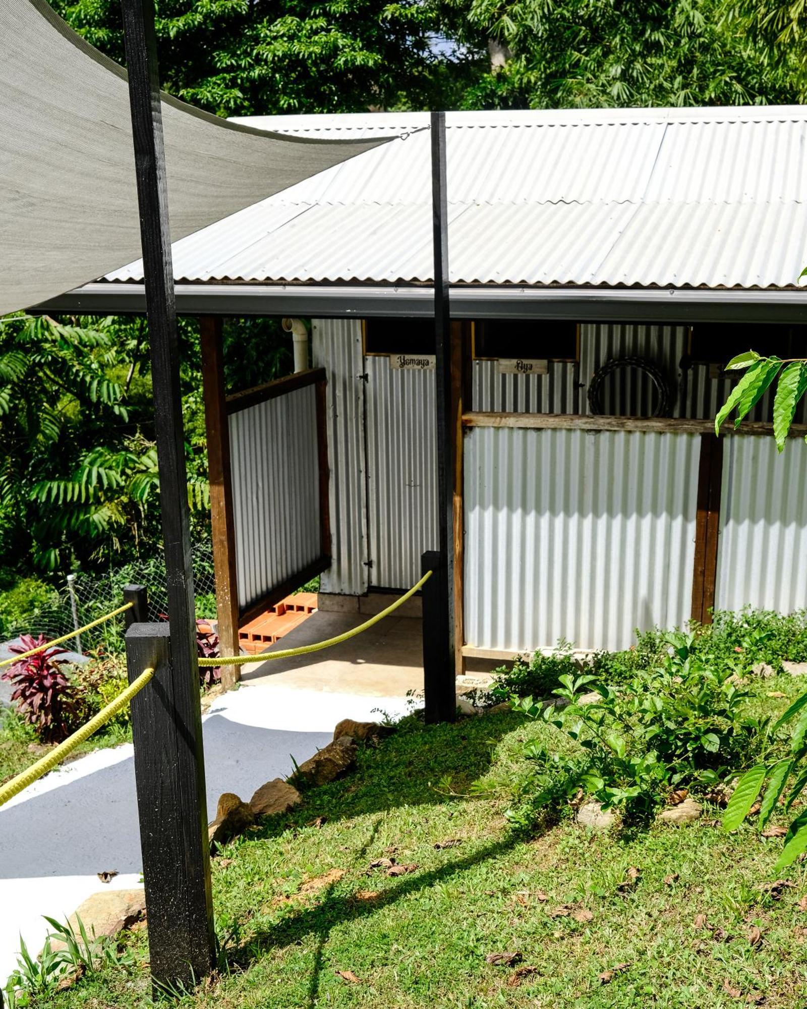 Silk Cotton Cottages Parrot Hall Extérieur photo