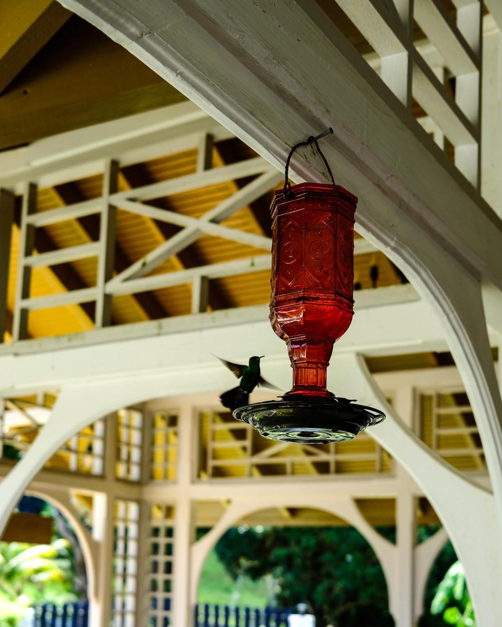 Silk Cotton Cottages Parrot Hall Extérieur photo